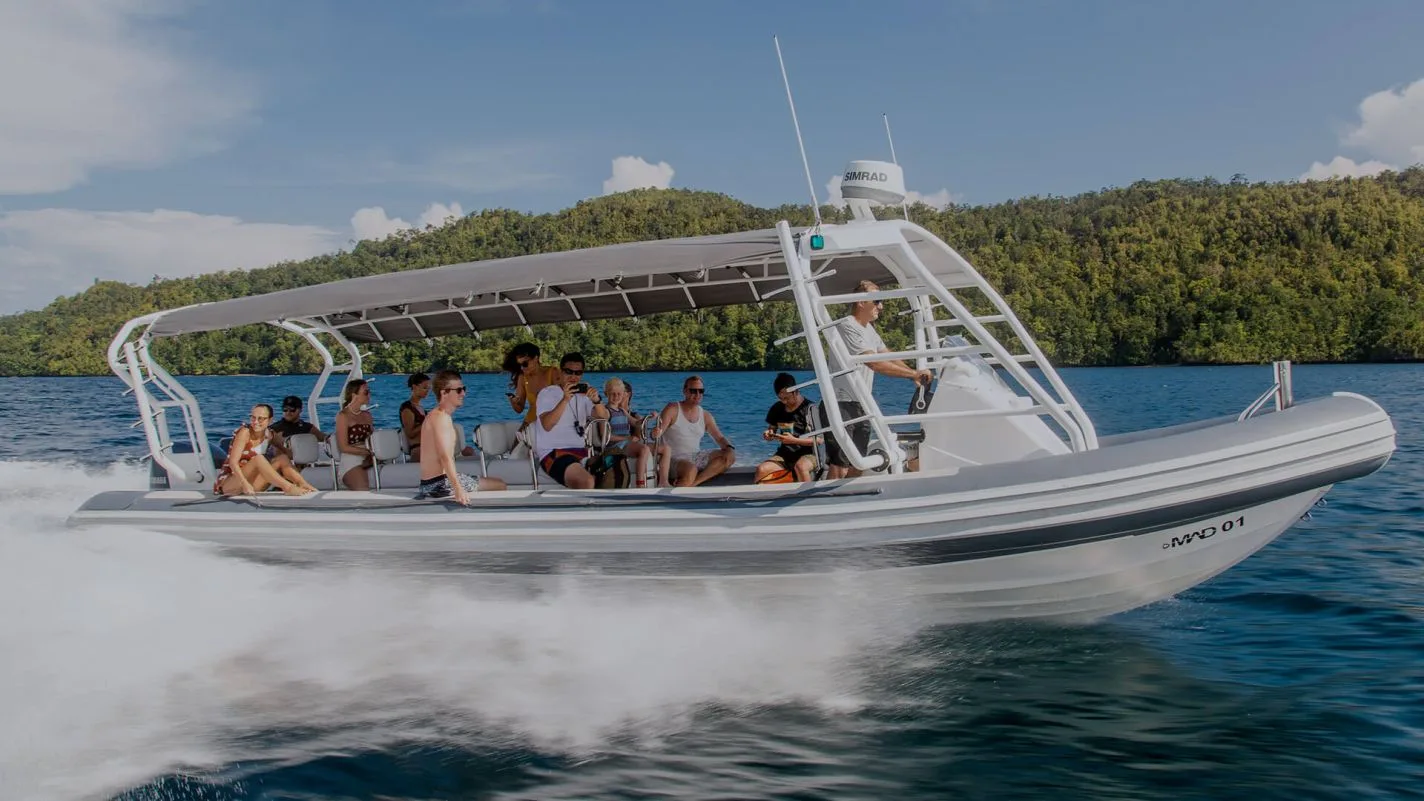 Purpose-built Meridian dive boats