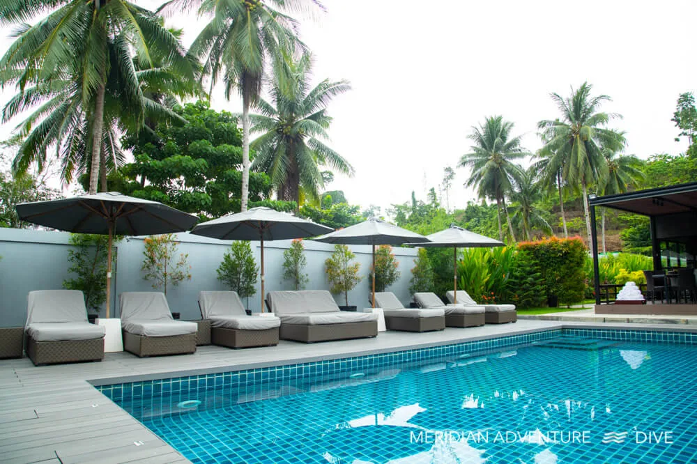 Resort pool and sun loungers among the palms